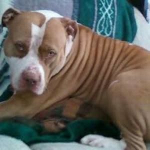 Meet your Posher, Claudia